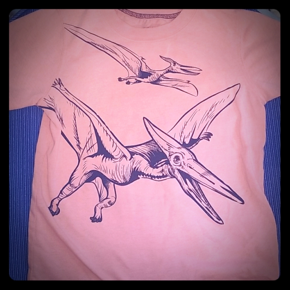 Boys pterodactyl Dinosaur orange tee